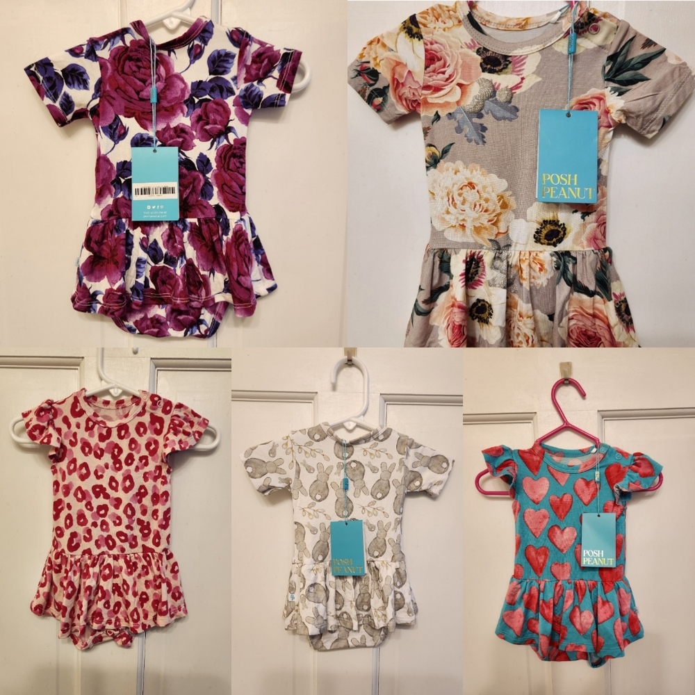 Set of 5 0-3 month Posh Peanut short sleeved bodysuit twirls